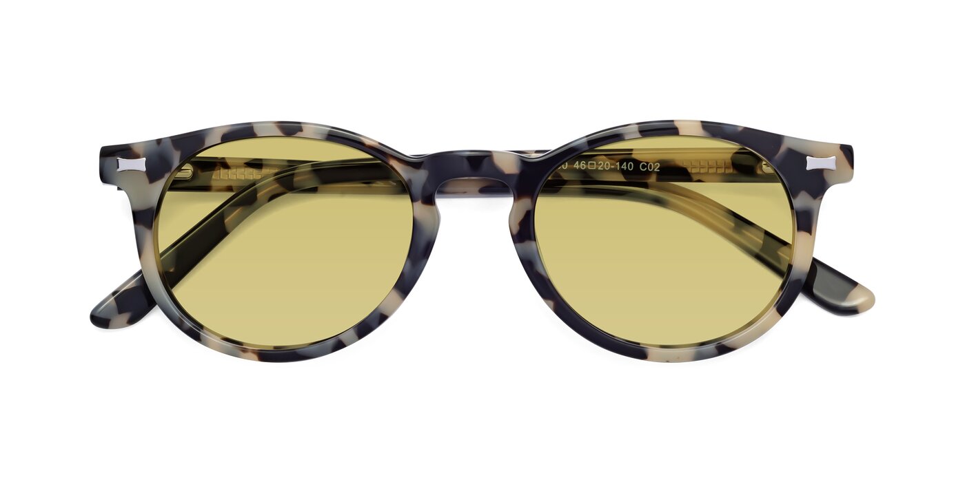17330 - Tortoise Honey Tinted Sunglasses