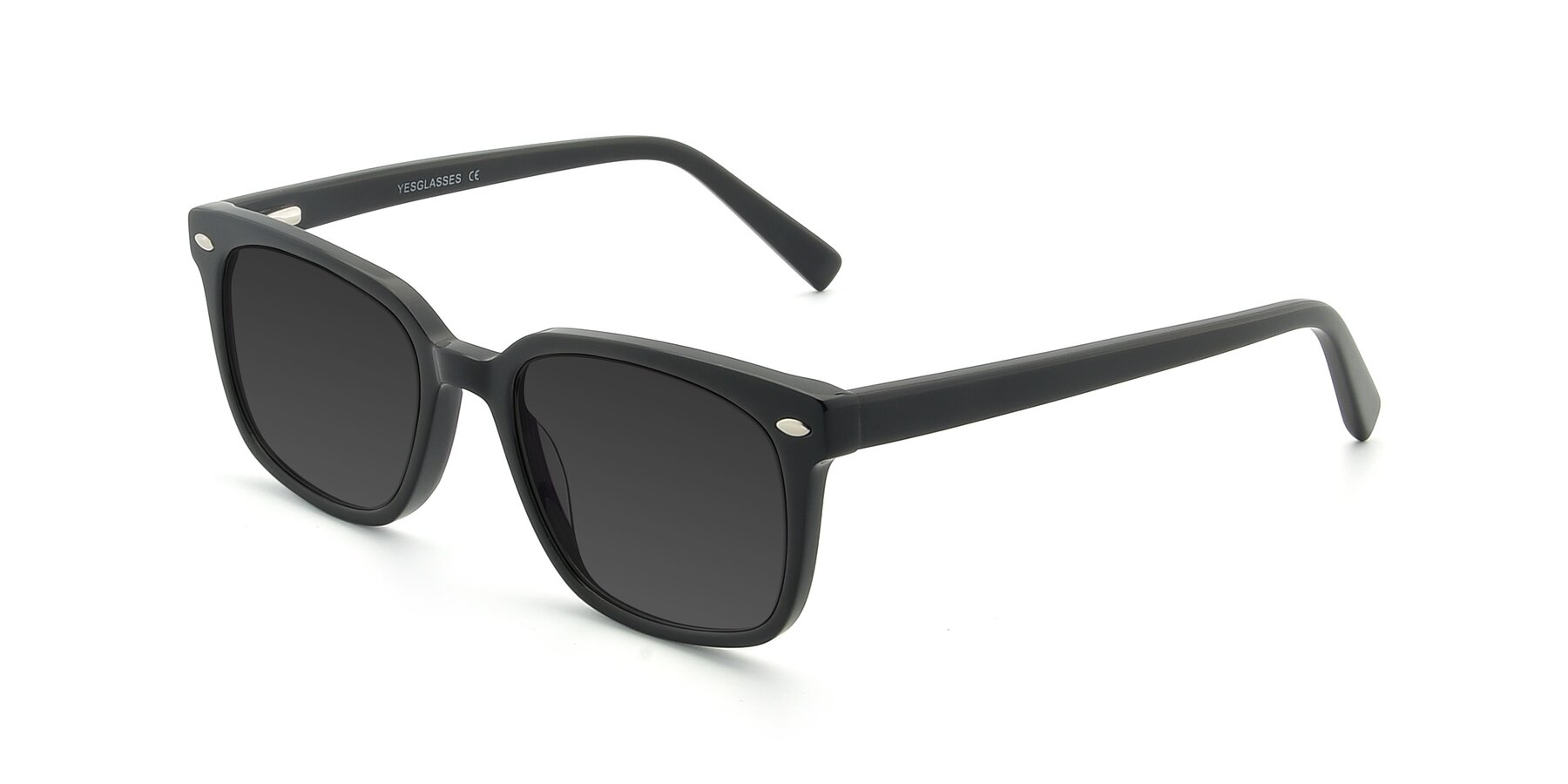 Angle of 17349 in Black with Gray Tinted Lenses