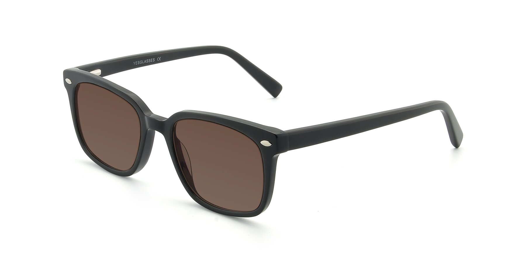 Angle of 17349 in Black with Brown Tinted Lenses