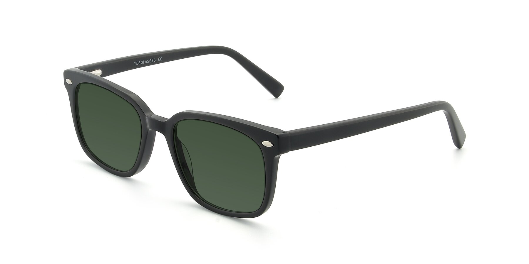 Angle of 17349 in Black with Green Tinted Lenses
