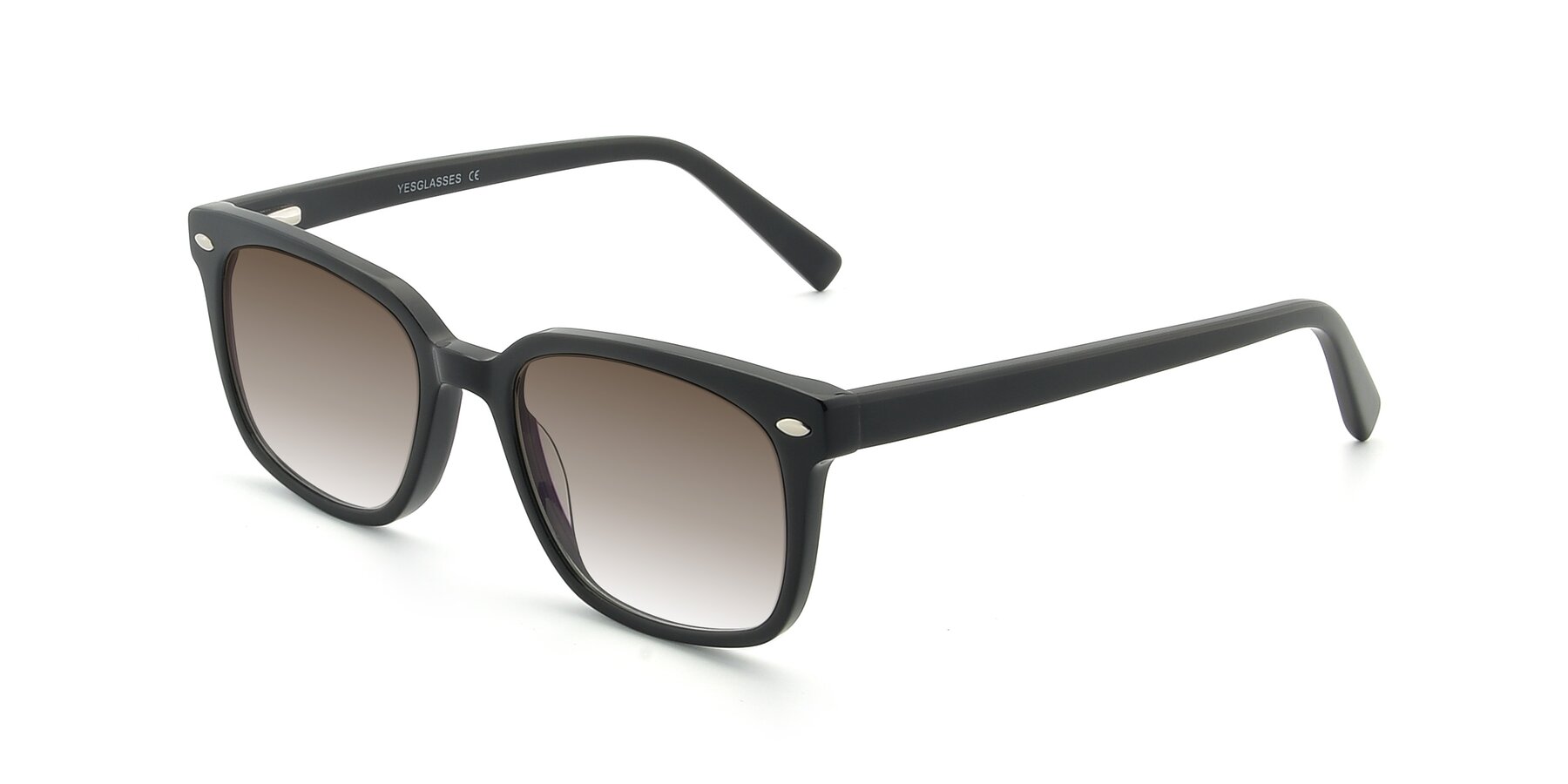 Angle of 17349 in Black with Brown Gradient Lenses