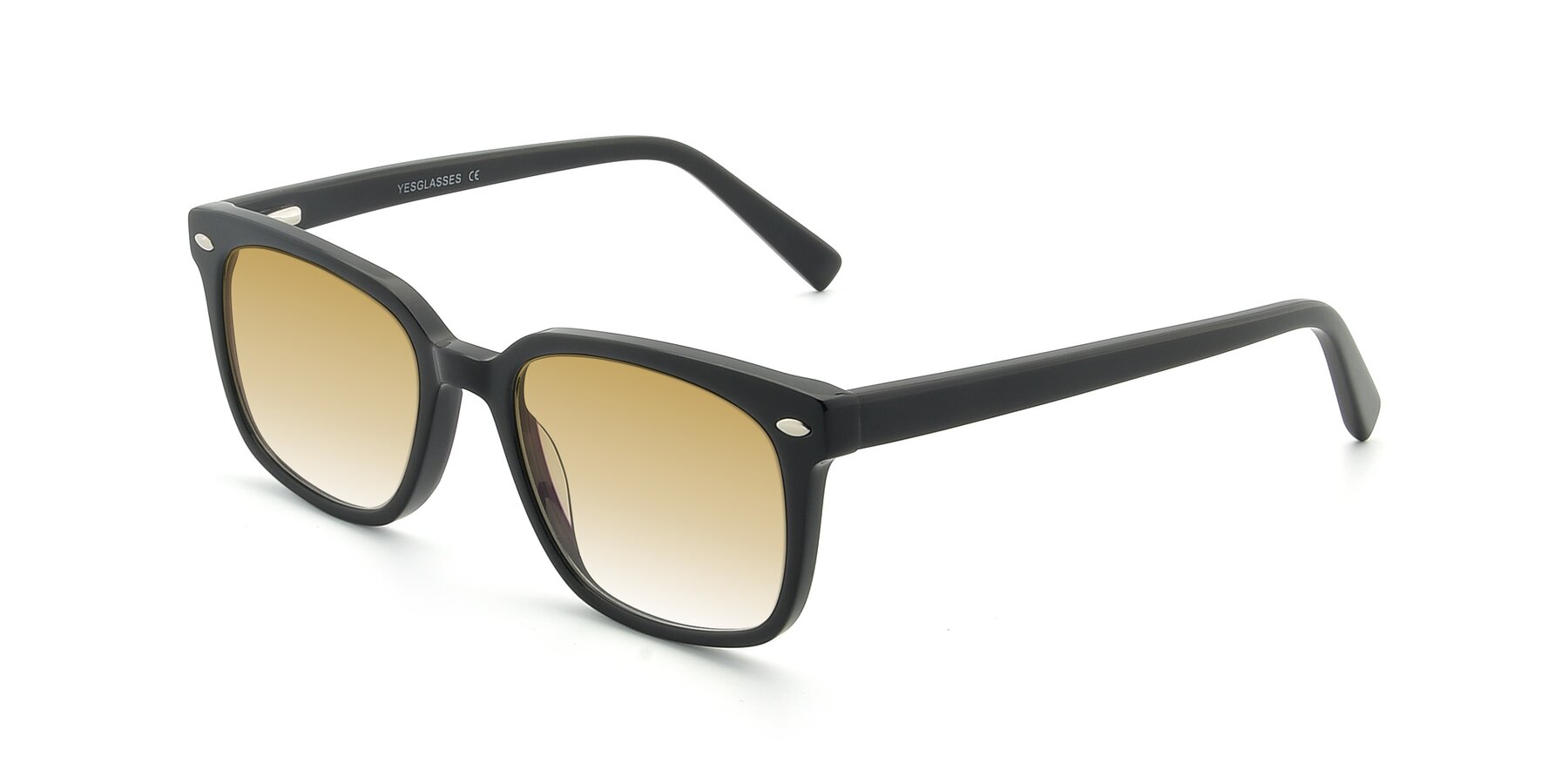 Angle of 17349 in Black with Champagne Gradient Lenses