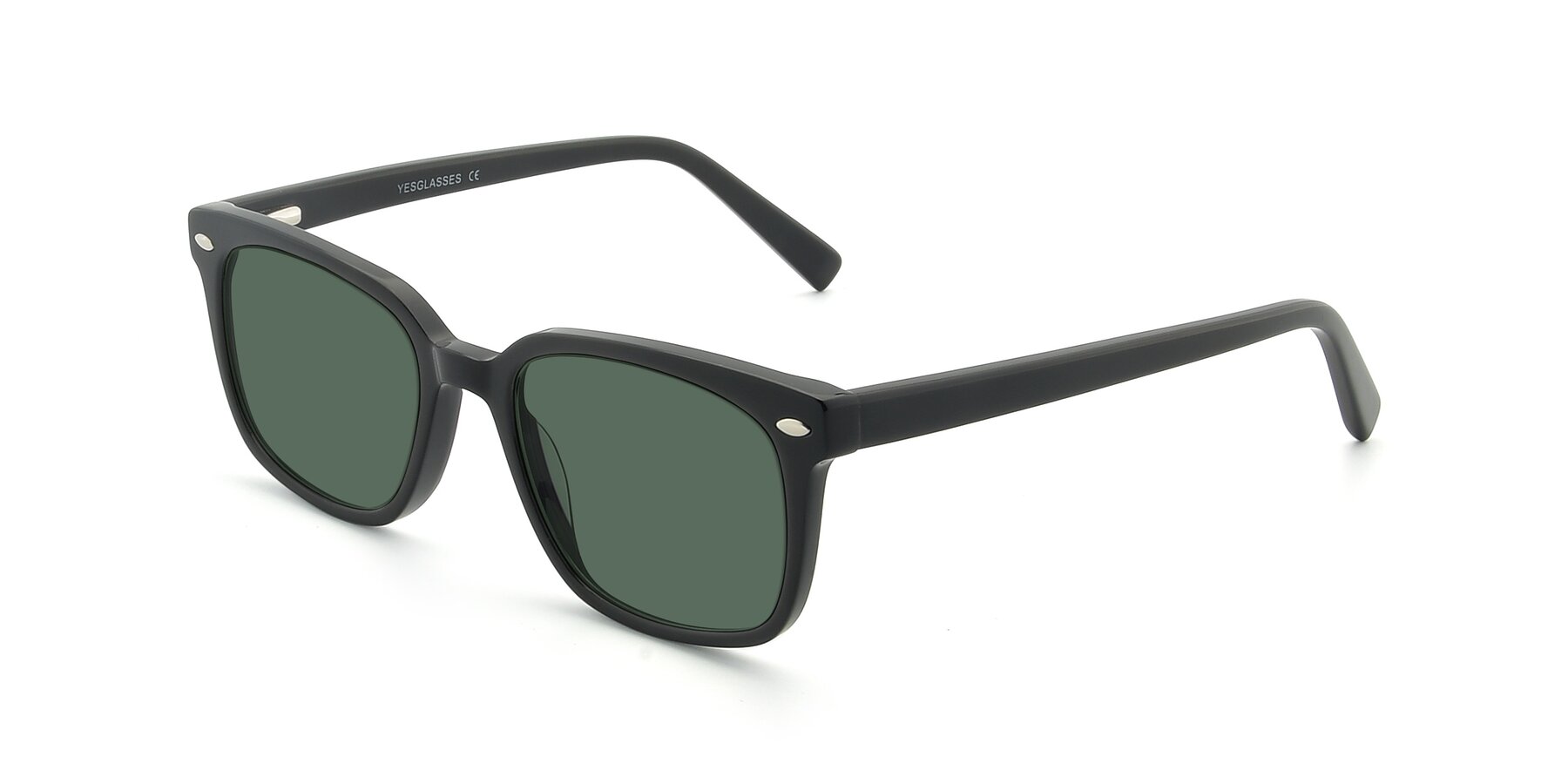 Angle of 17349 in Black with Green Polarized Lenses