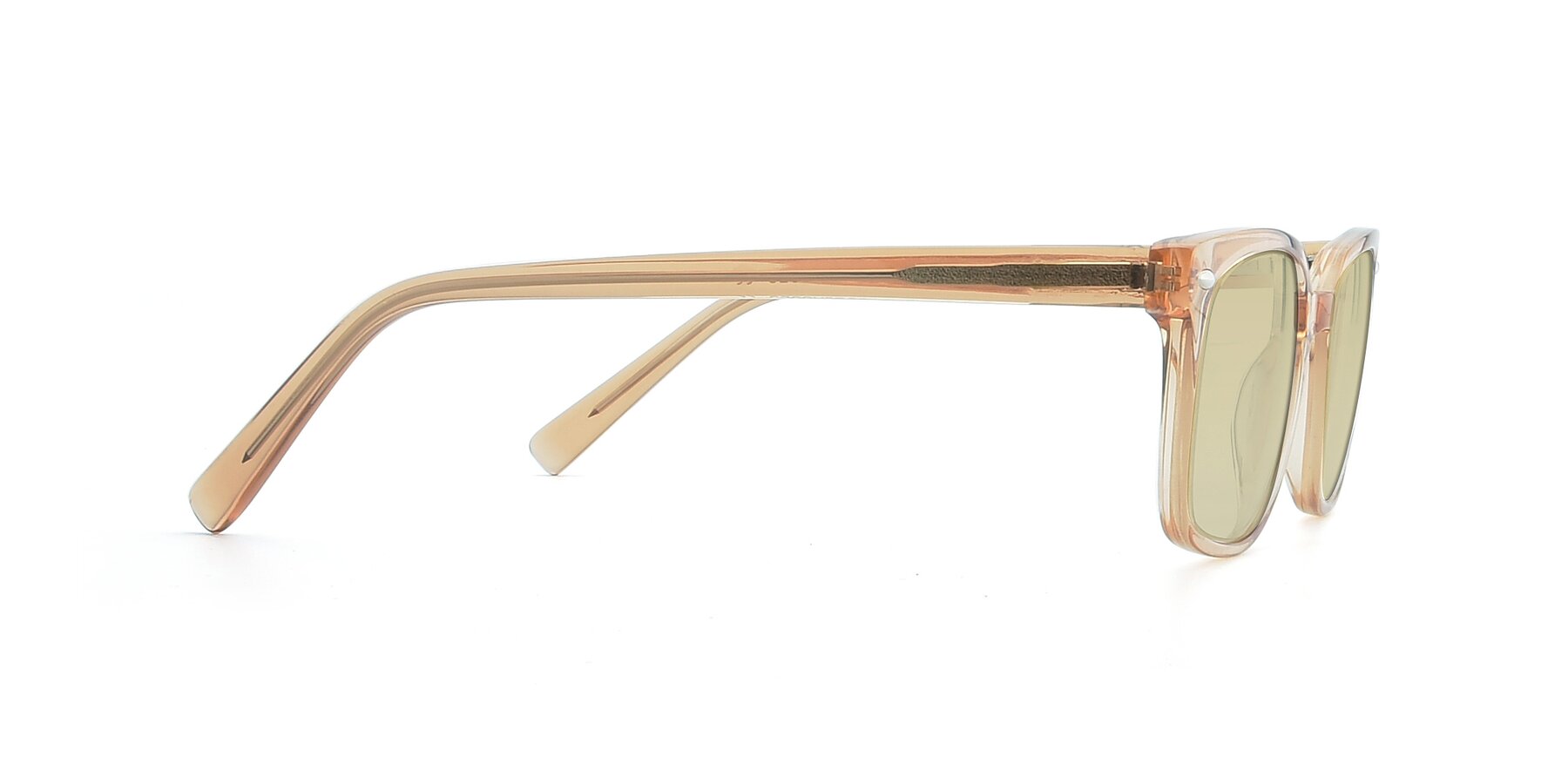 Side of 17349 in Transparent Caramel with Light Champagne Tinted Lenses