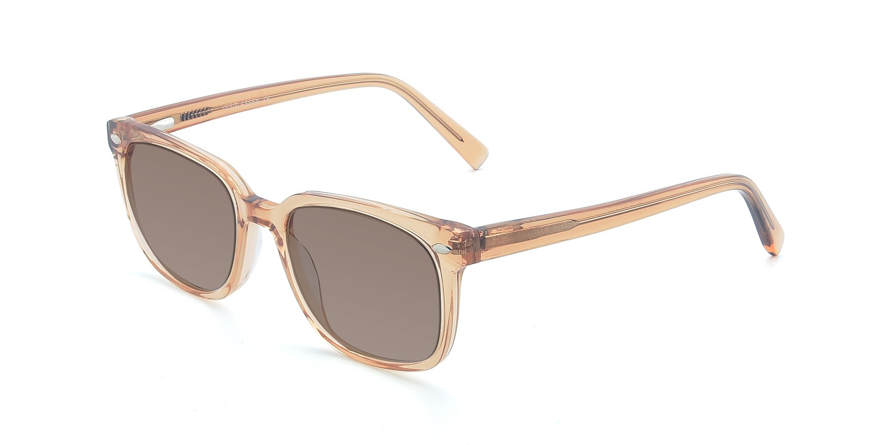 Angle of 17349 in Transparent Caramel with Medium Brown Tinted Lenses
