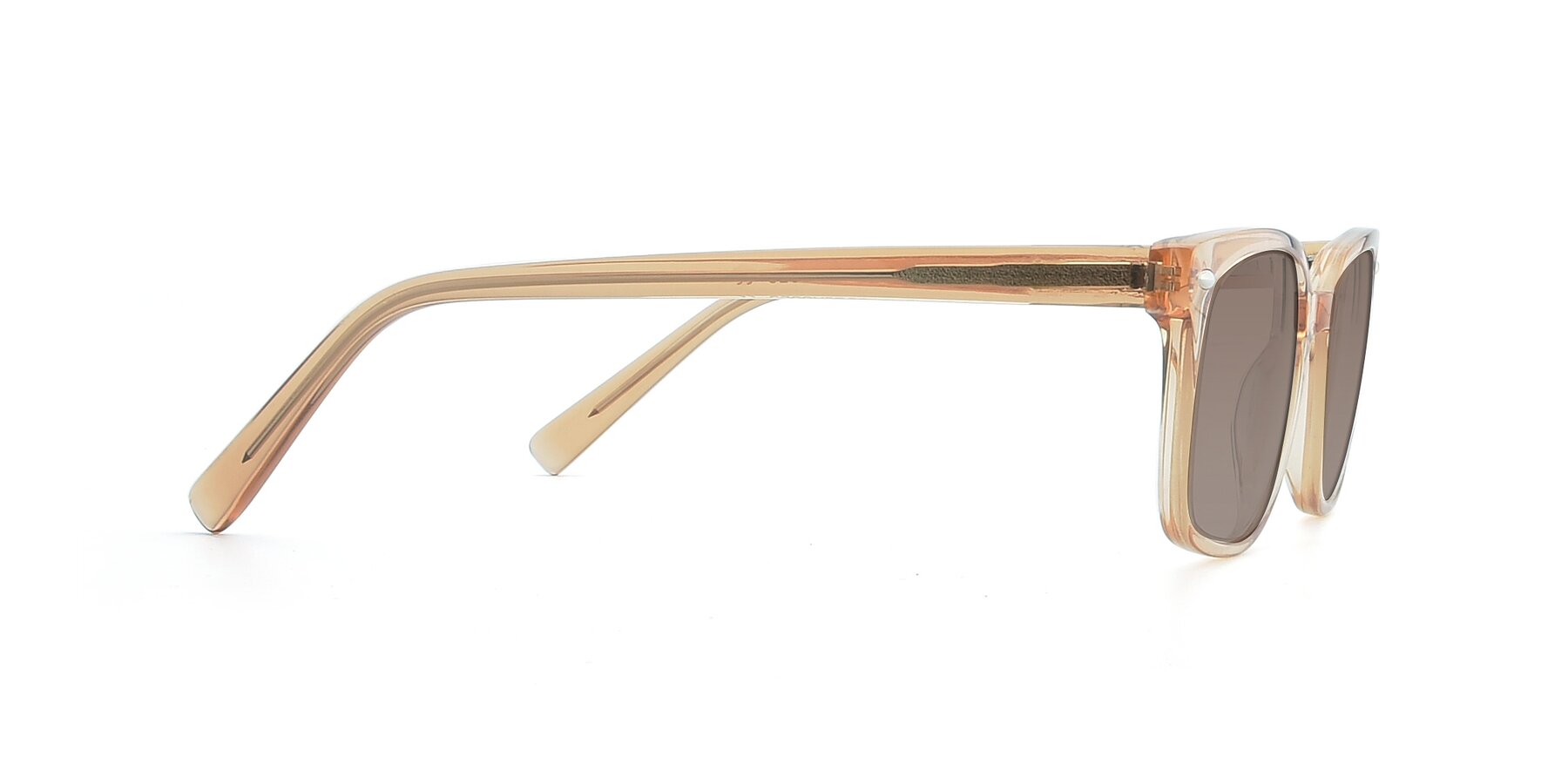 Side of 17349 in Transparent Caramel with Medium Brown Tinted Lenses