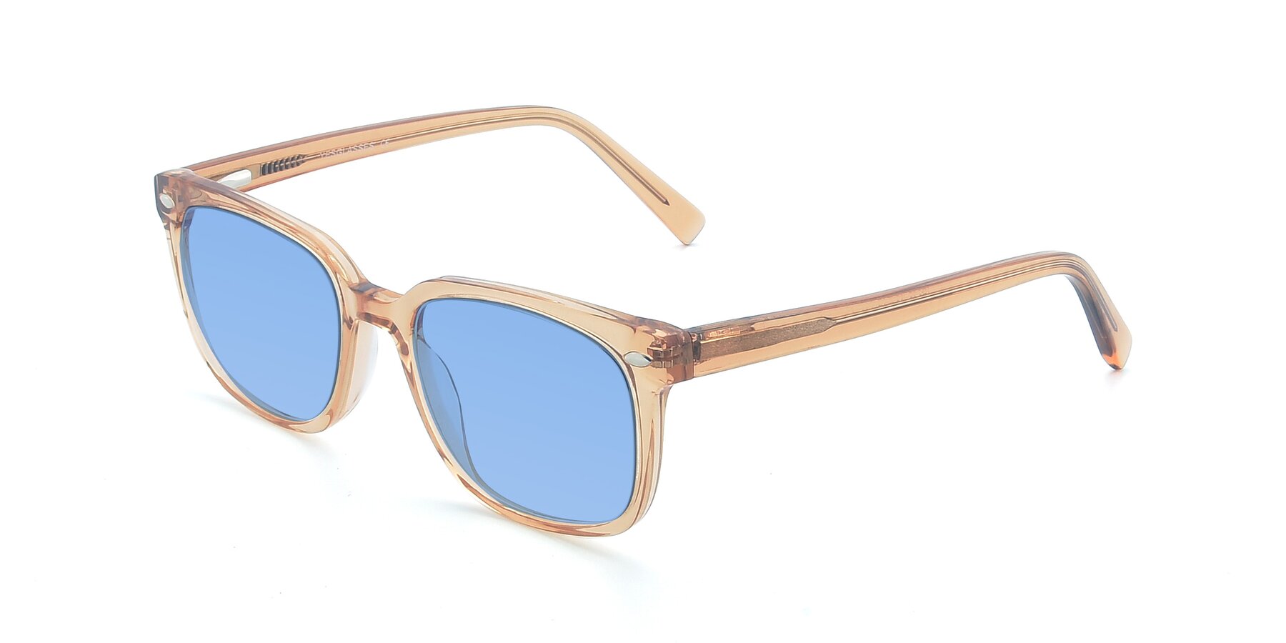 Angle of 17349 in Transparent Caramel with Medium Blue Tinted Lenses