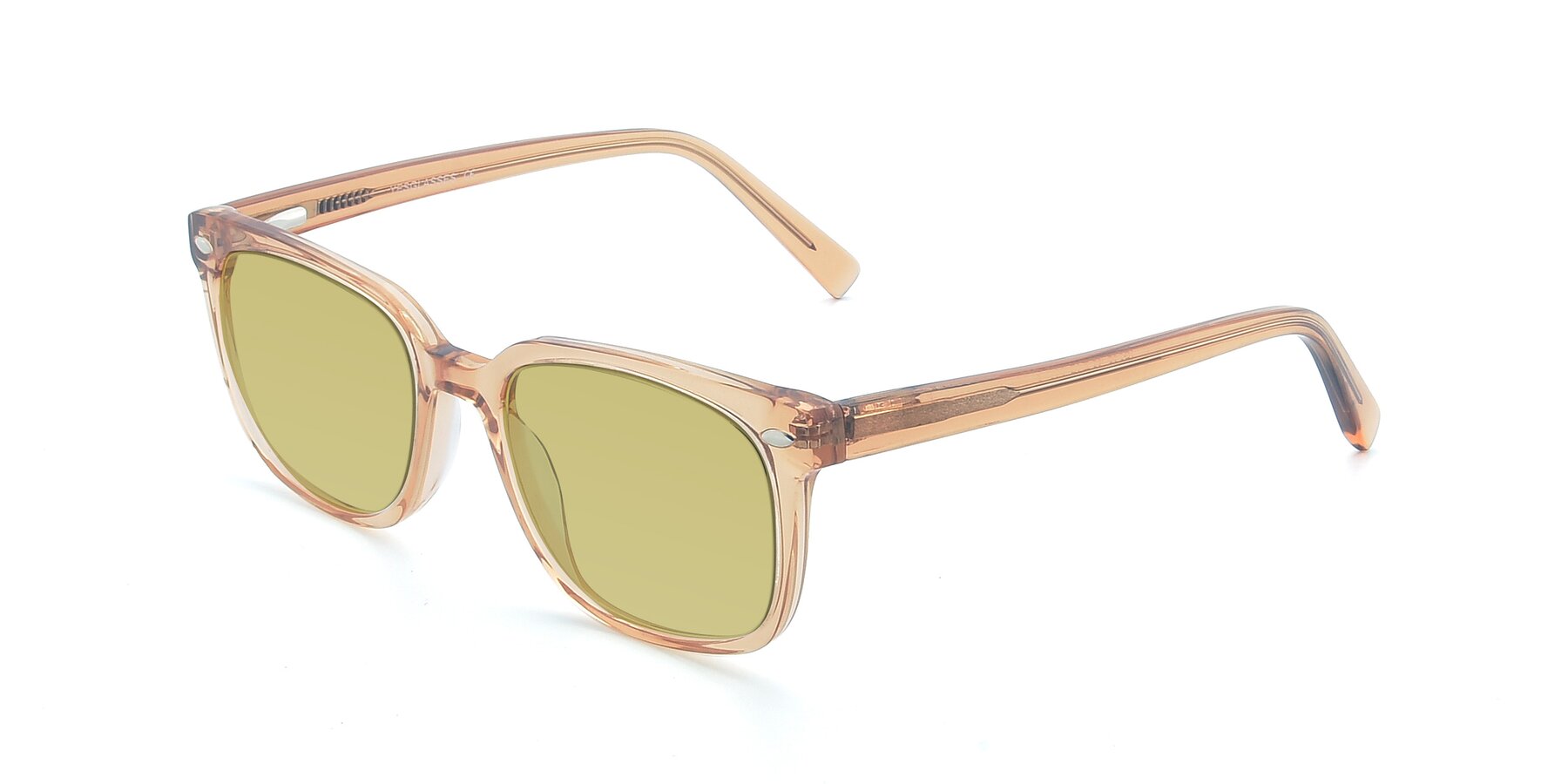 Angle of 17349 in Transparent Caramel with Medium Champagne Tinted Lenses