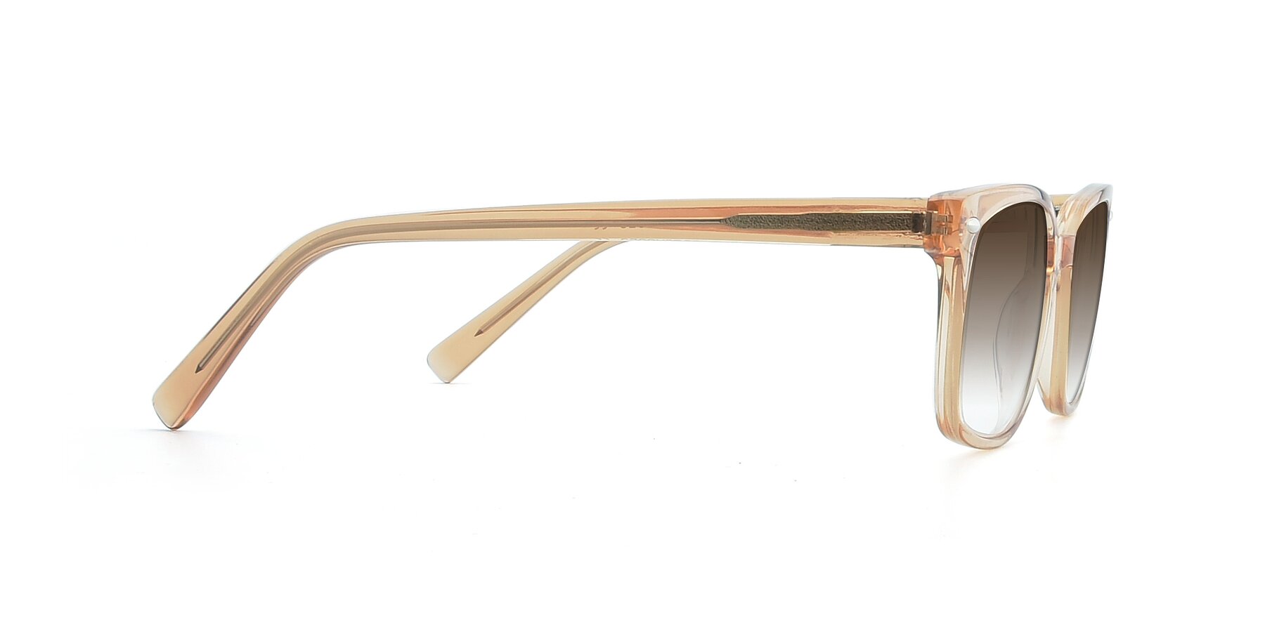 Side of 17349 in Transparent Caramel with Brown Gradient Lenses