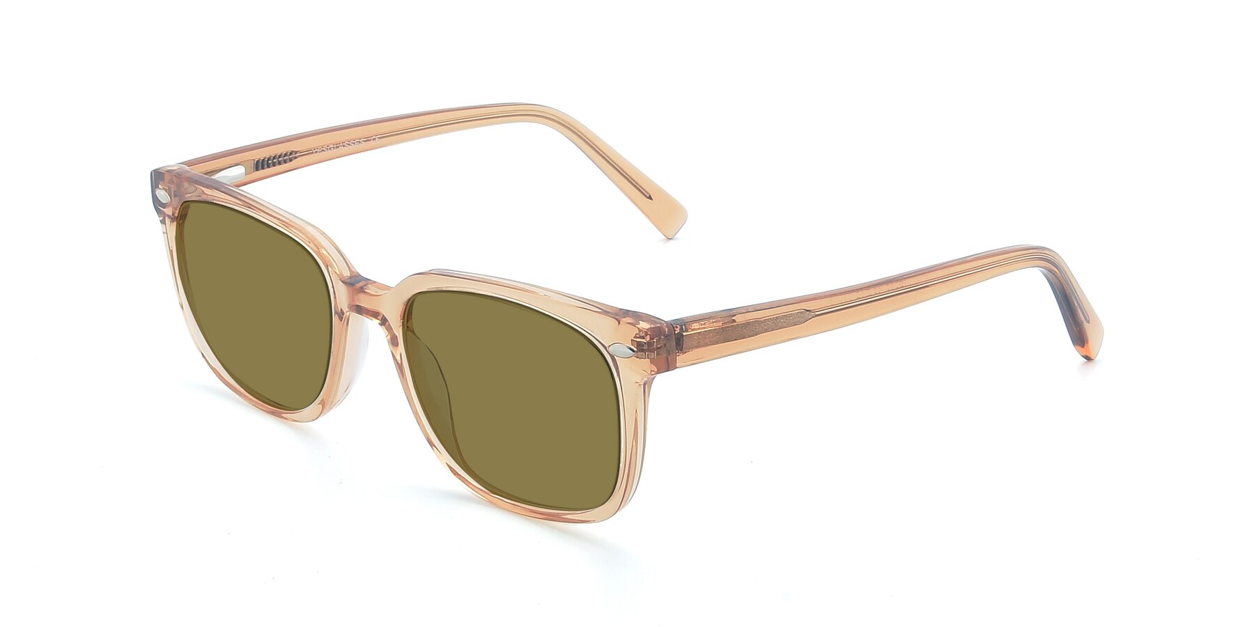 Angle of 17349 in Transparent Caramel with Brown Polarized Lenses