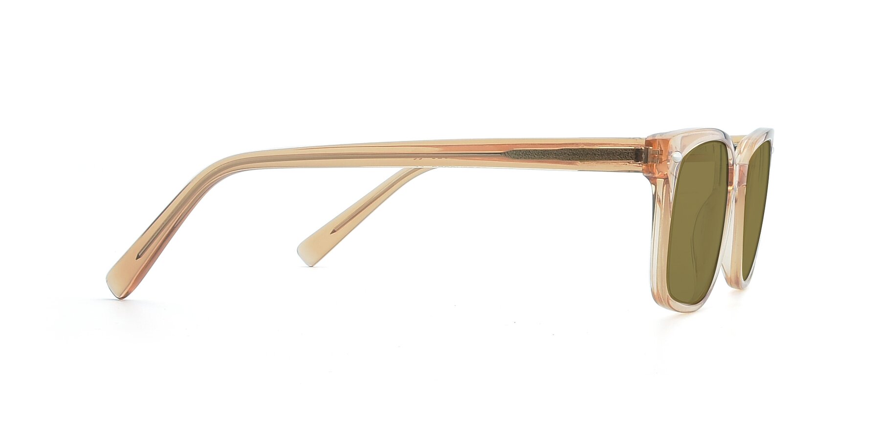 Side of 17349 in Transparent Caramel with Brown Polarized Lenses