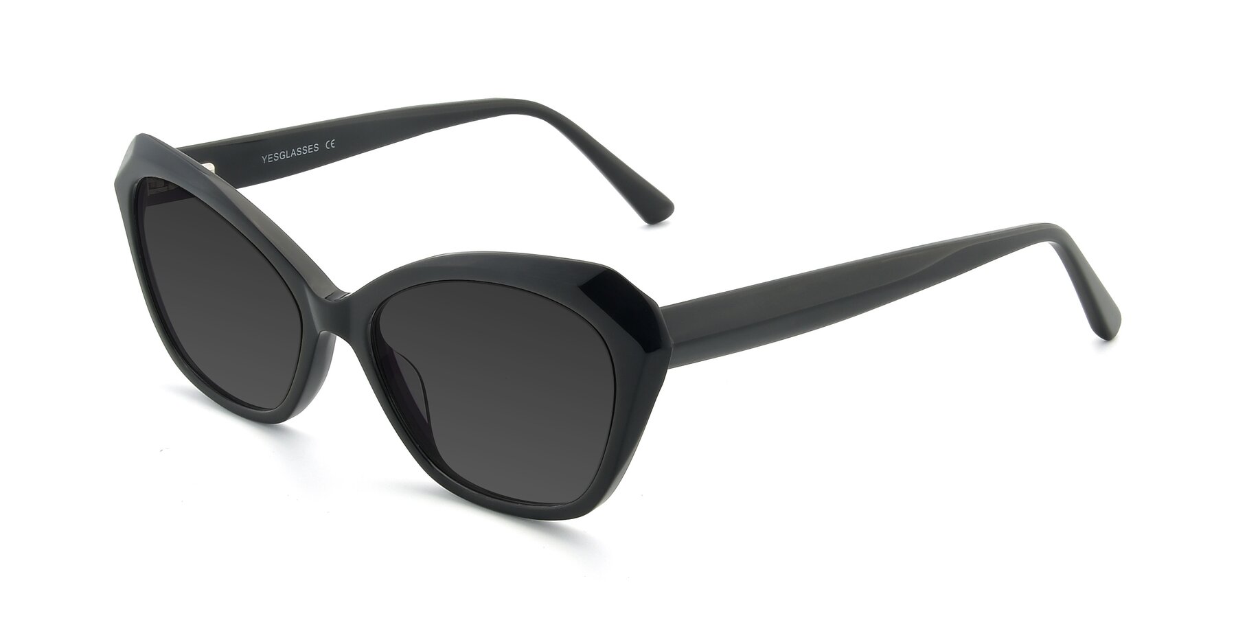 Angle of 17351 in Black with Gray Tinted Lenses