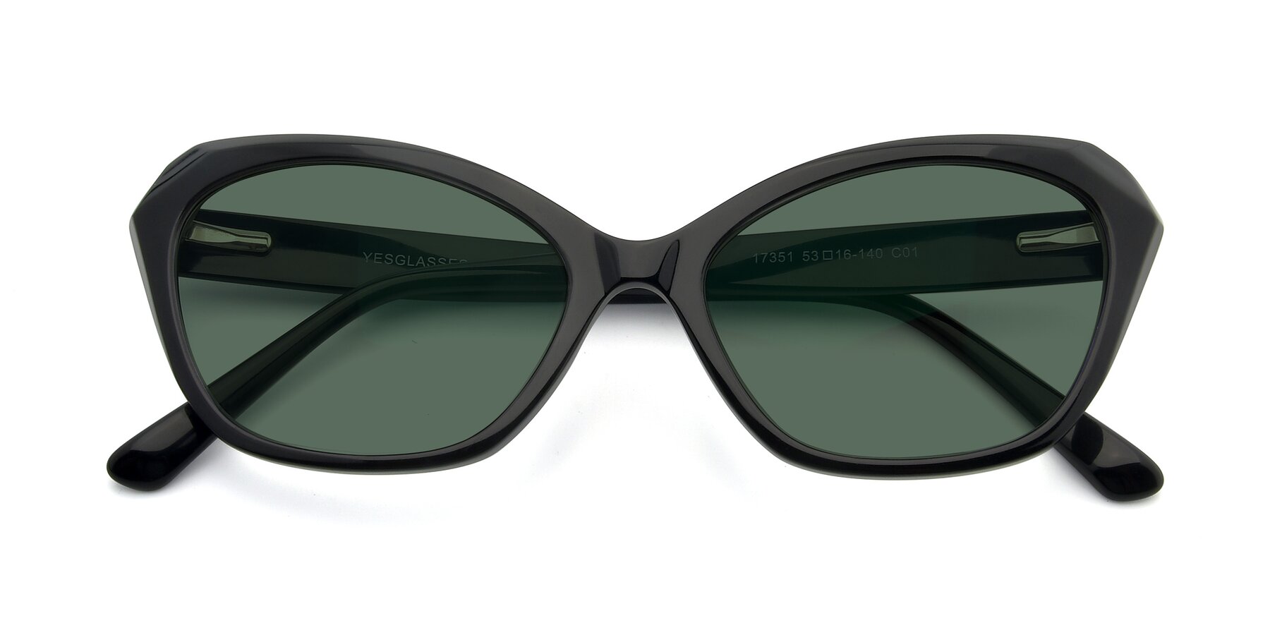 Folded Front of 17351 in Black with Green Polarized Lenses