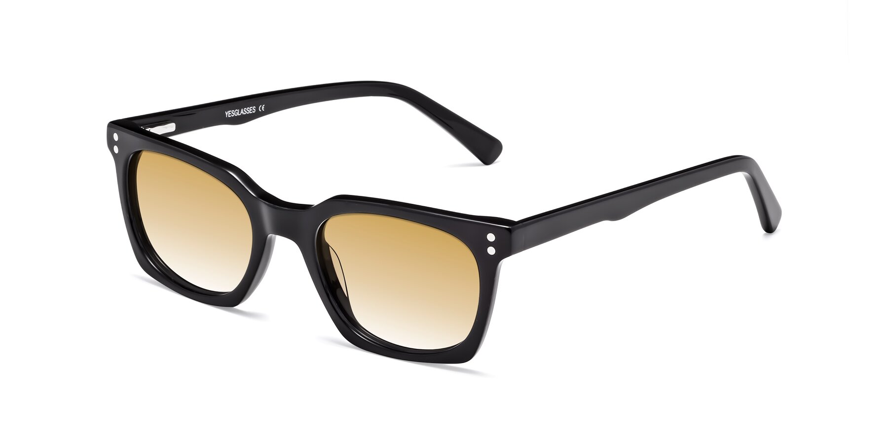 Angle of Medhi in Black with Champagne Gradient Lenses