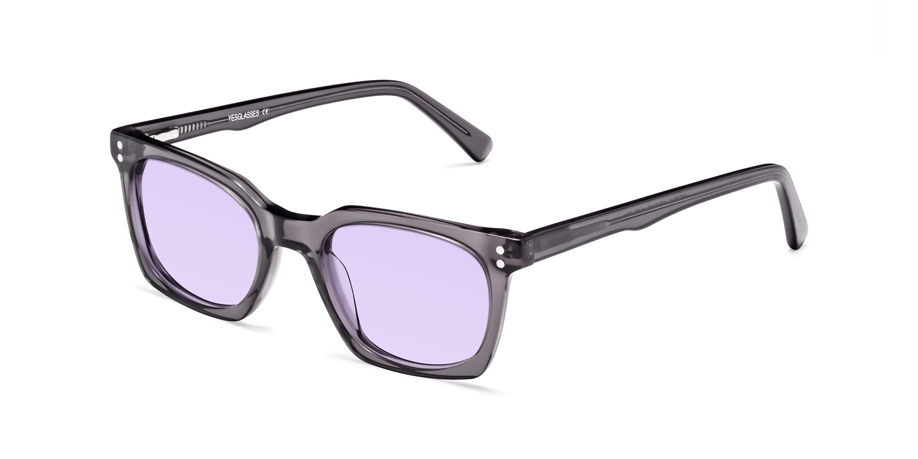 Angle of Medhi in Transparent Gray with Light Purple Tinted Lenses