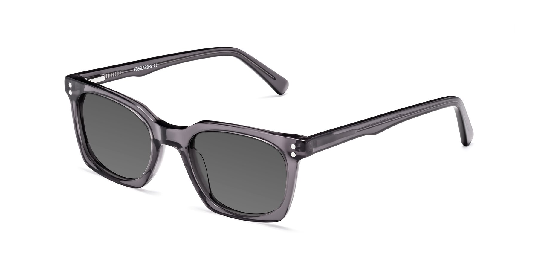 Angle of Medhi in Transparent Gray with Medium Gray Tinted Lenses