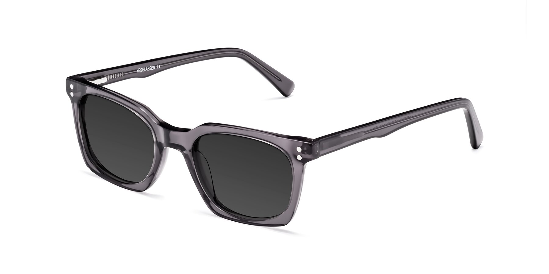 Angle of Medhi in Transparent Gray with Gray Tinted Lenses