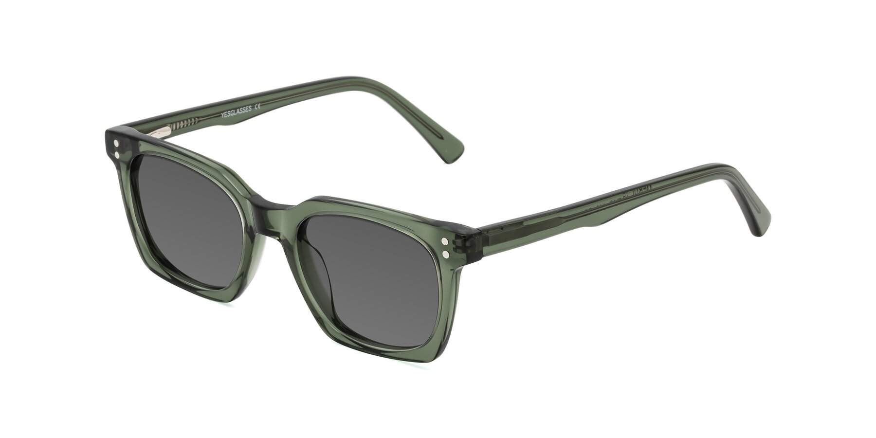 Angle of Medhi in Grayish Green with Medium Gray Tinted Lenses