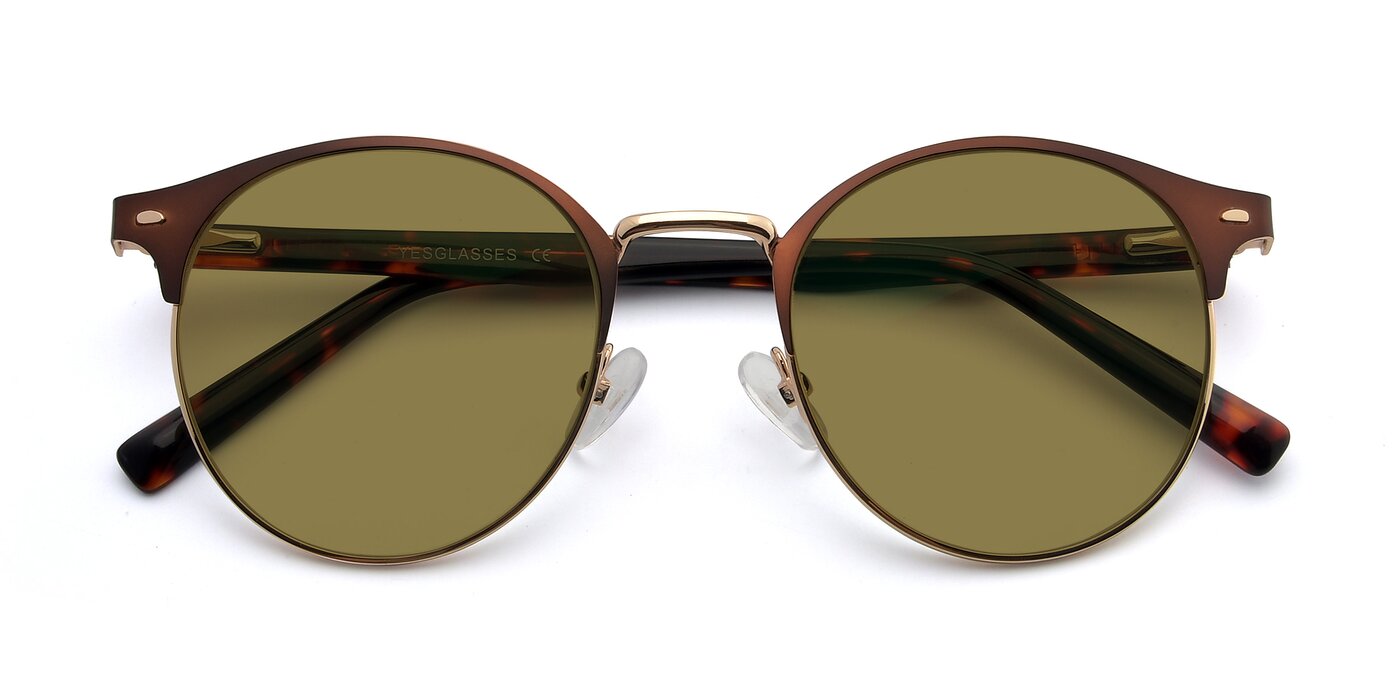 9099 - Brown / Gold Polarized Sunglasses