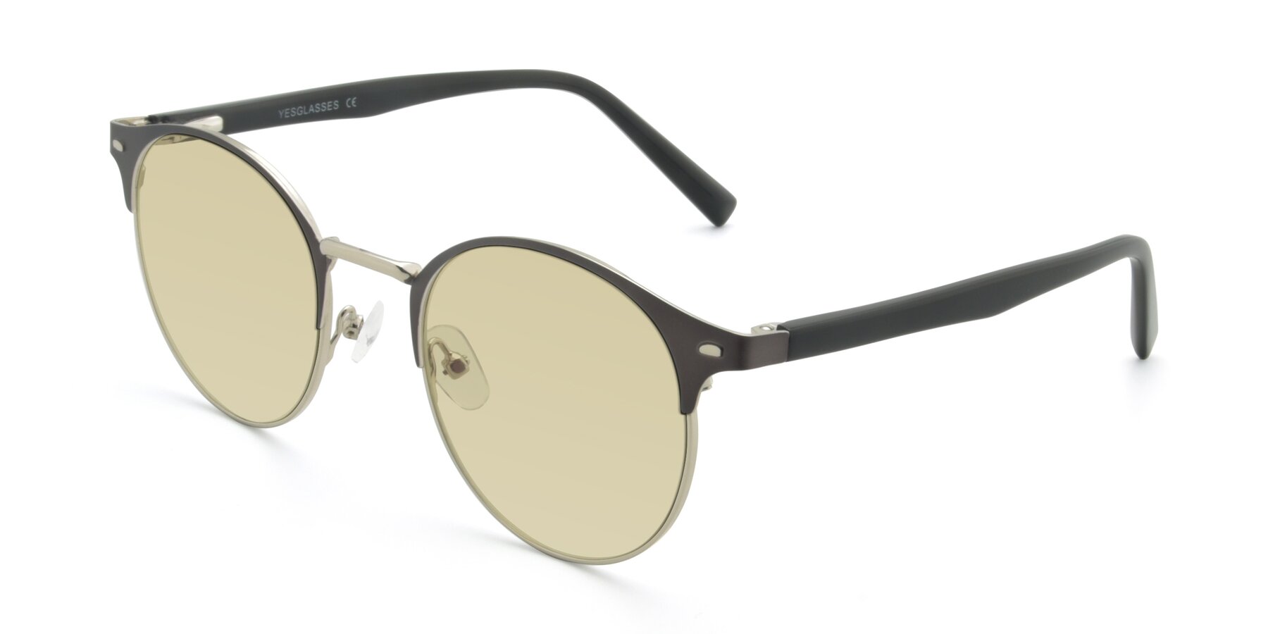 Angle of 9099 in Gray-Silver with Light Champagne Tinted Lenses