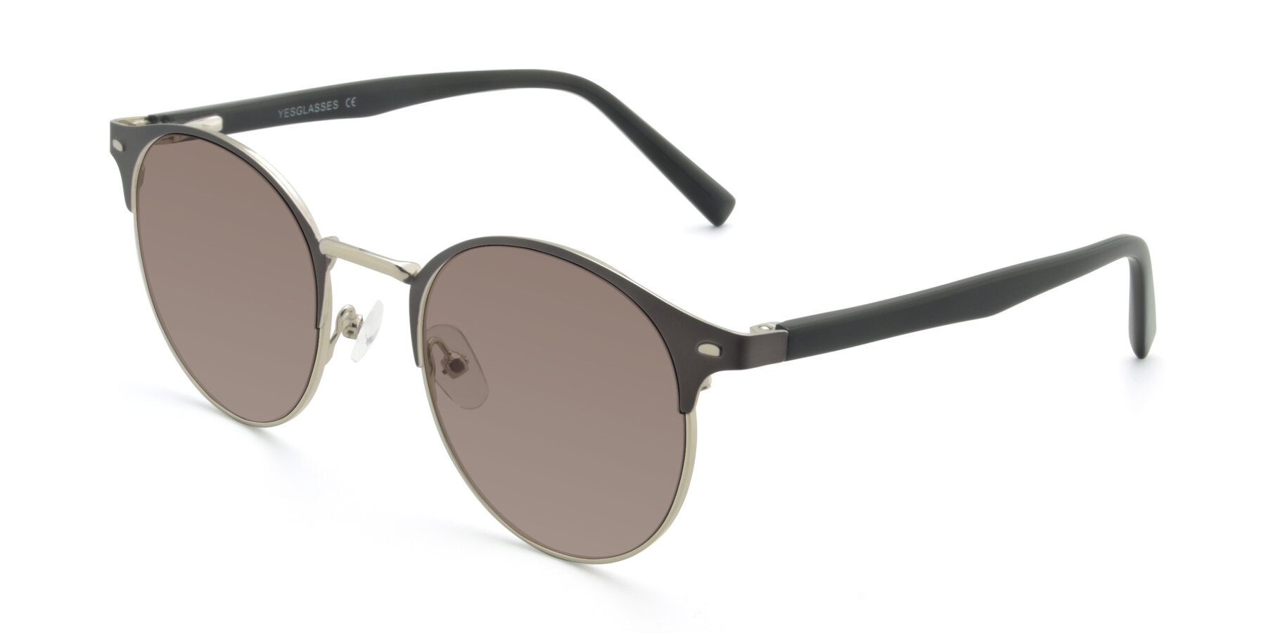 Angle of 9099 in Gray-Silver with Medium Brown Tinted Lenses