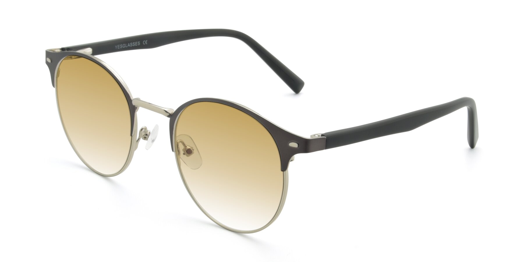 Angle of 9099 in Gray-Silver with Champagne Gradient Lenses