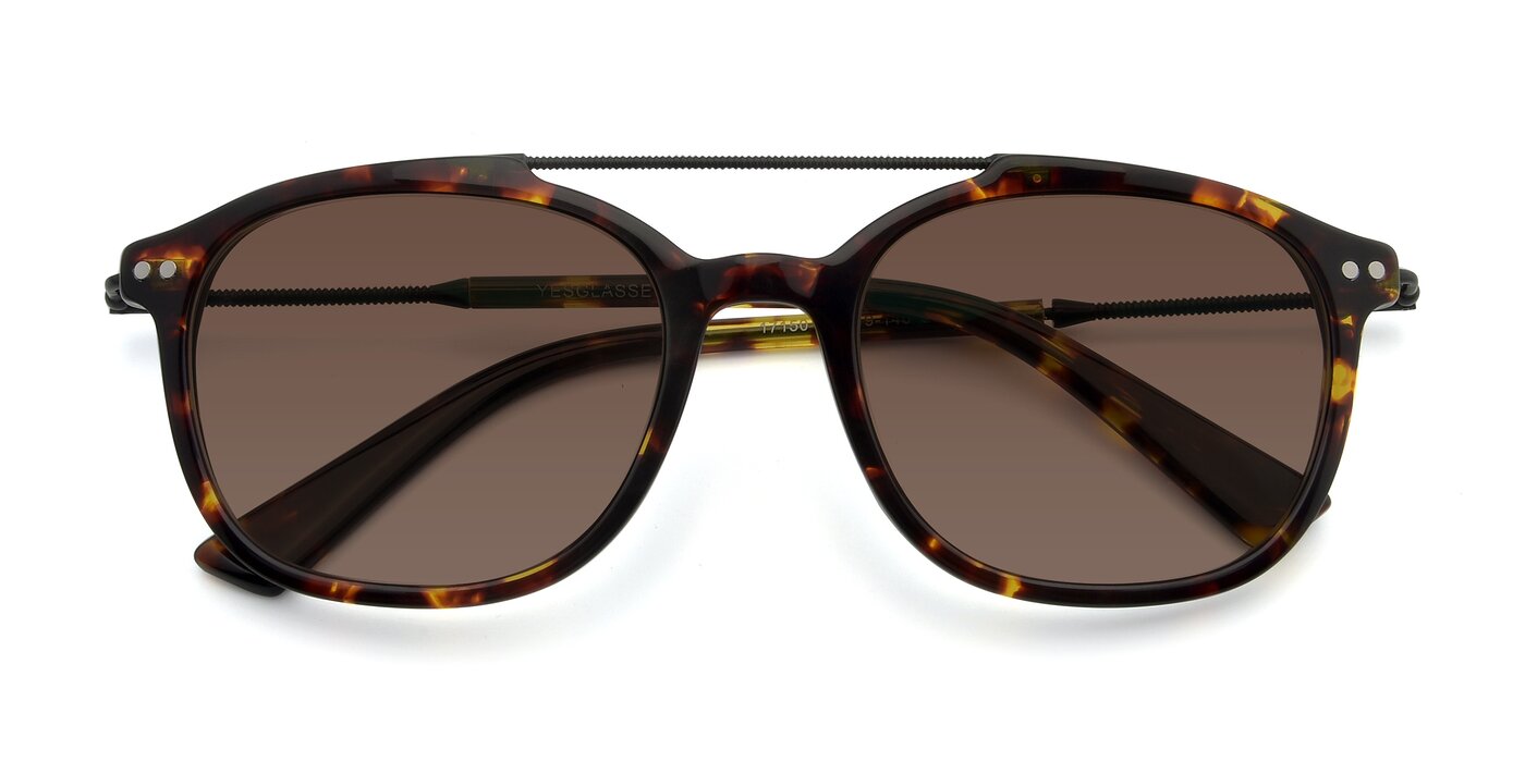 17150 - Tortoise Brown Tinted Sunglasses