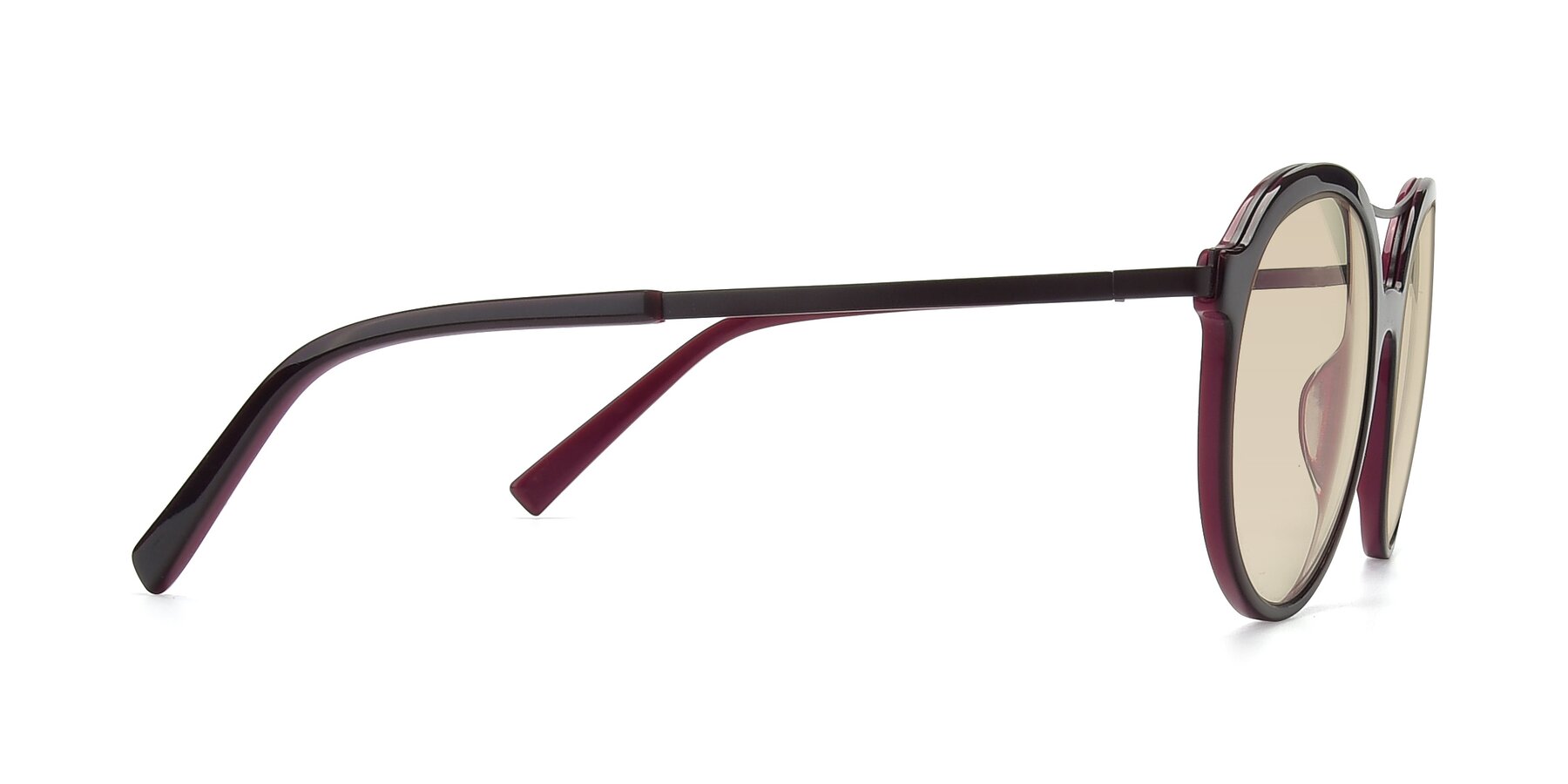 Side of 17268 in Wine with Light Brown Tinted Lenses
