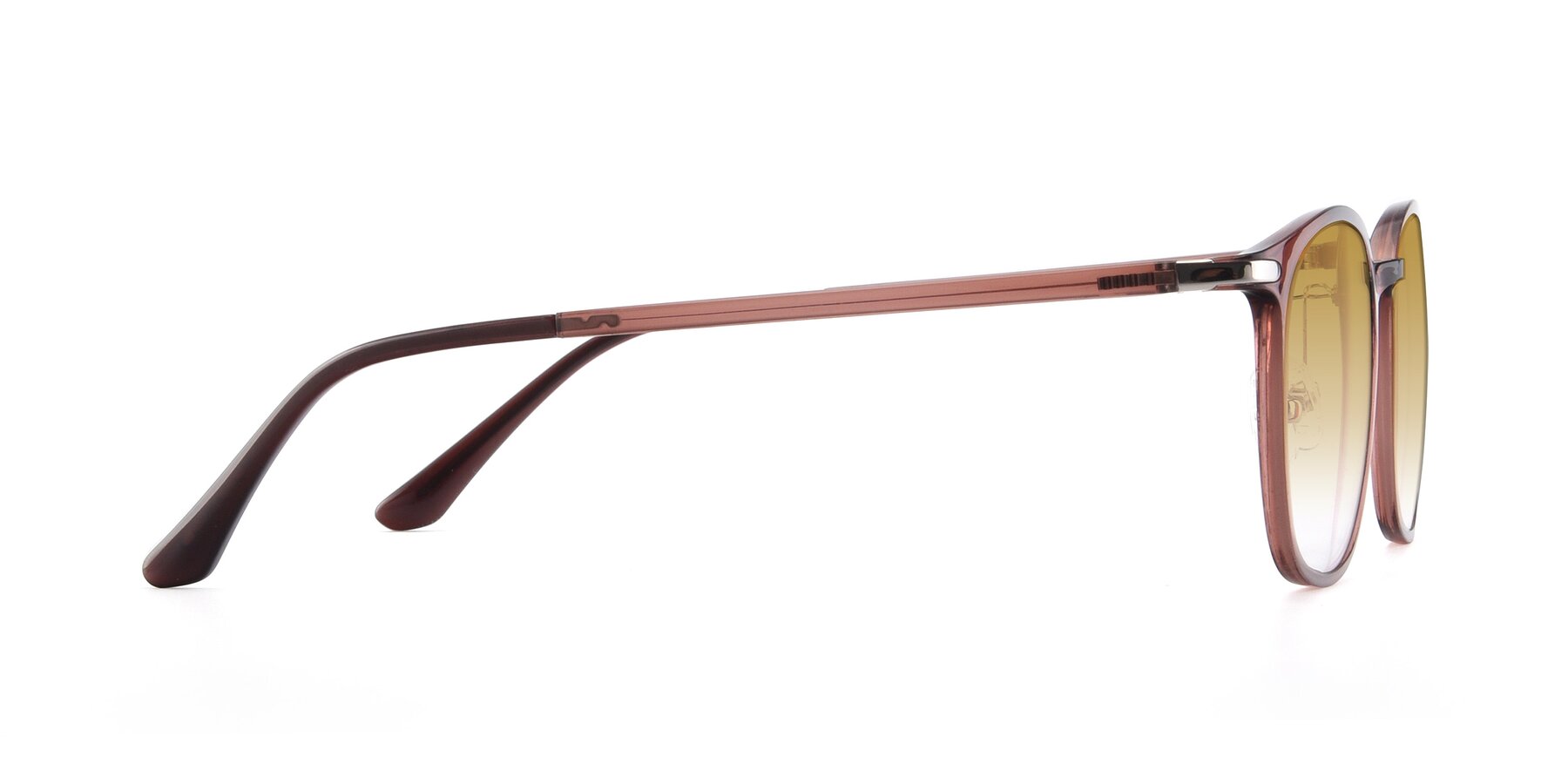 Side of Melinda in Brown with Champagne Gradient Lenses