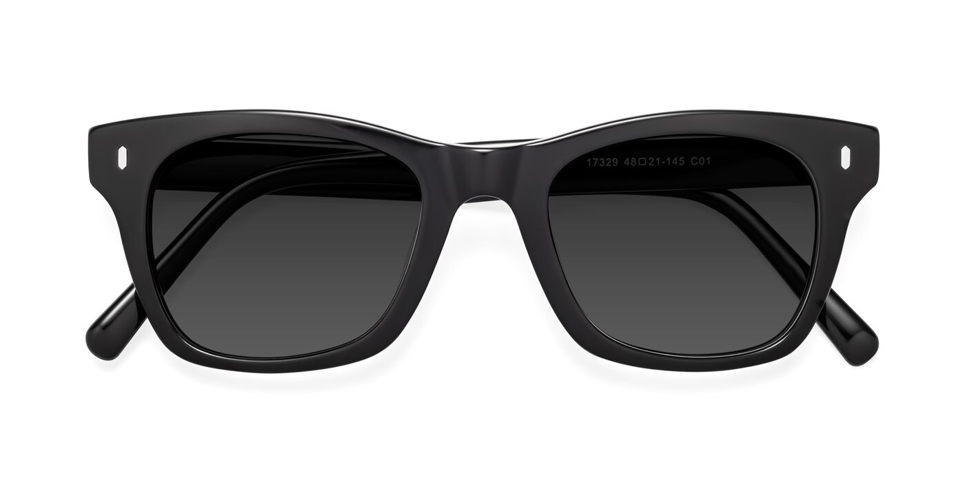 17329 - Black Tinted Sunglasses