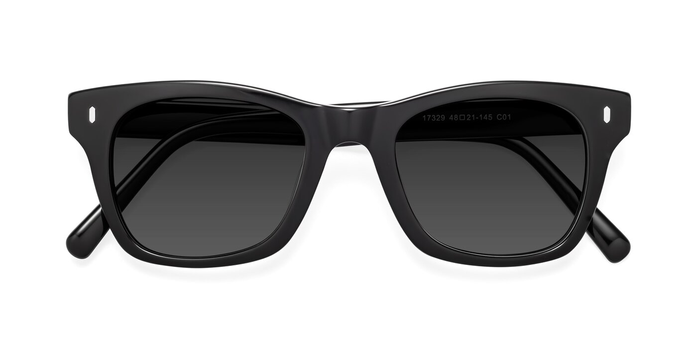17329 - Black Tinted Sunglasses