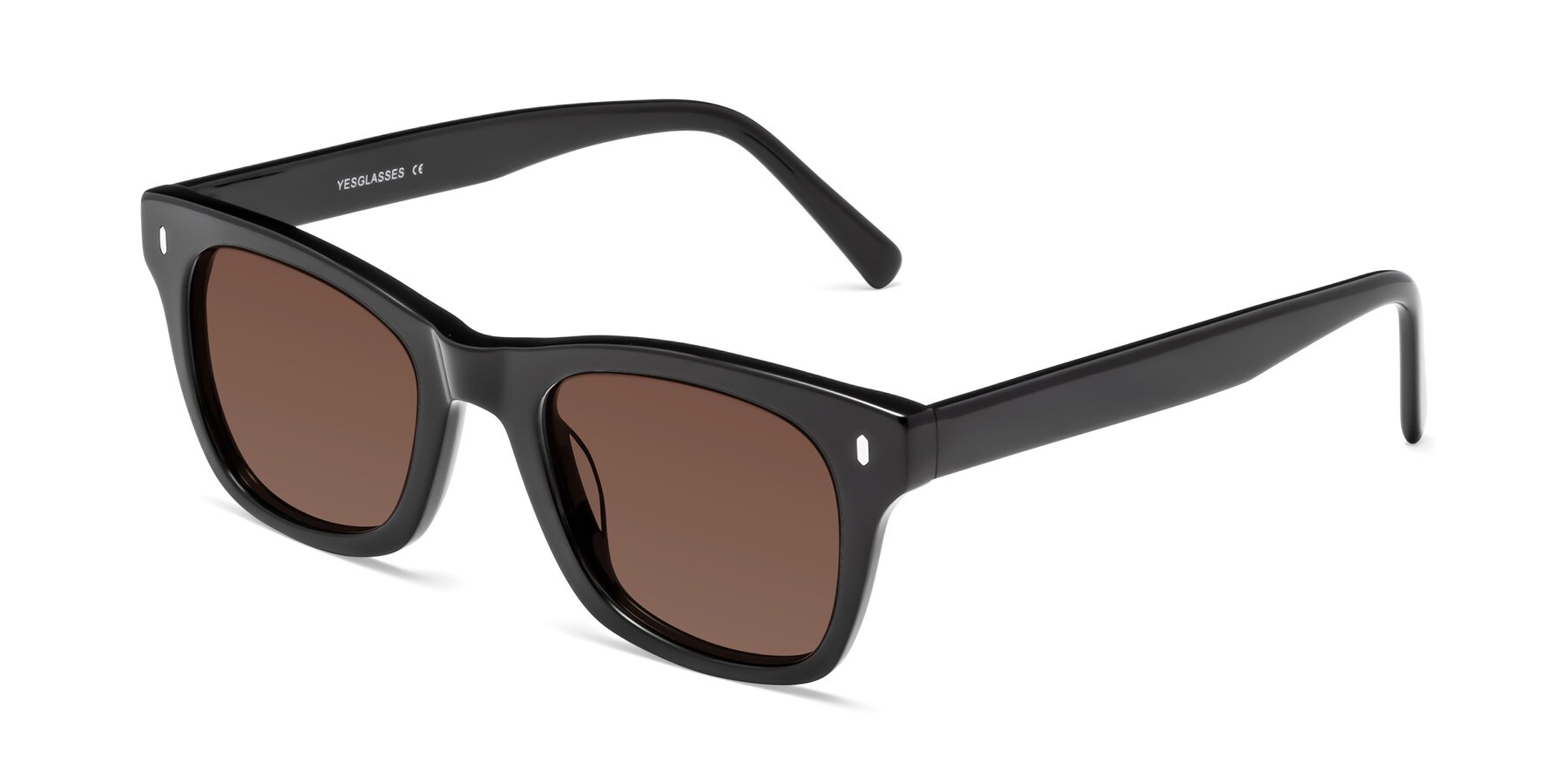 Angle of Ben in Black with Brown Tinted Lenses