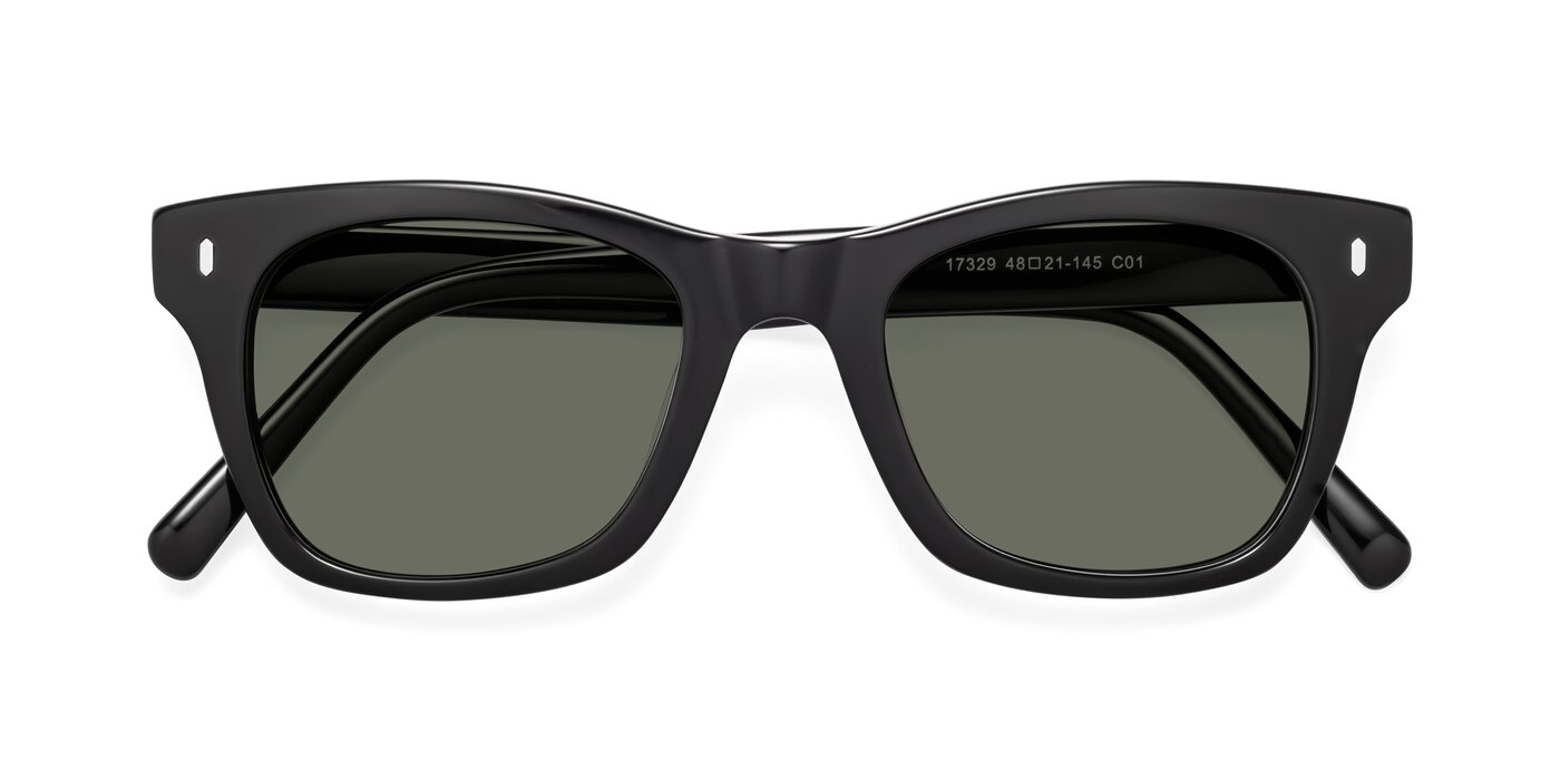 17329 - Black Polarized Sunglasses