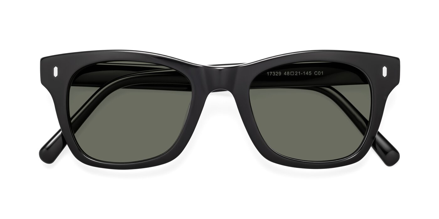 17329 - Black Polarized Sunglasses