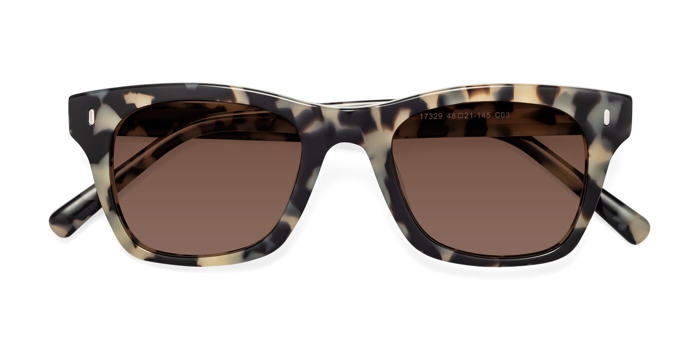 17329 - Havana Tinted Sunglasses