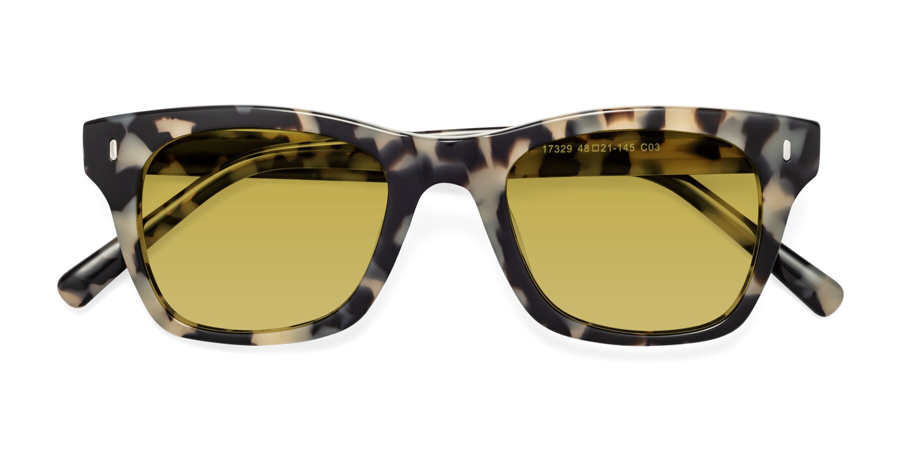 Folded Front of Ben in Havana with Champagne Tinted Lenses