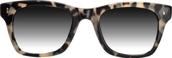 Thick Frame Sunglasses, Havana/Green main image 1