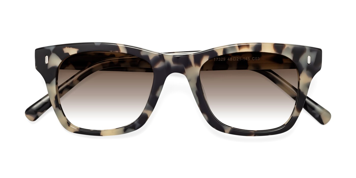 17329 - Havana Gradient Sunglasses