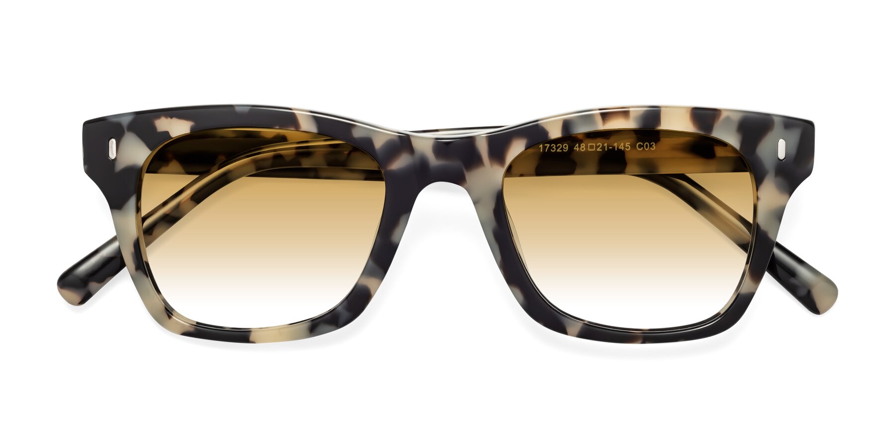 Folded Front of Ben in Havana with Champagne Gradient Lenses