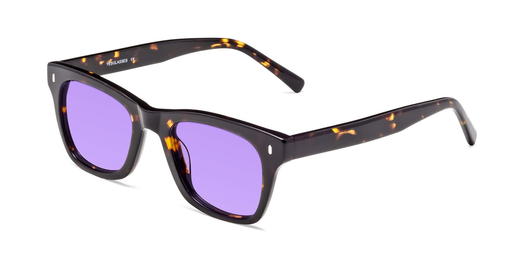 Angle of Ben in Tortoise Brown with Medium Purple Tinted Lenses