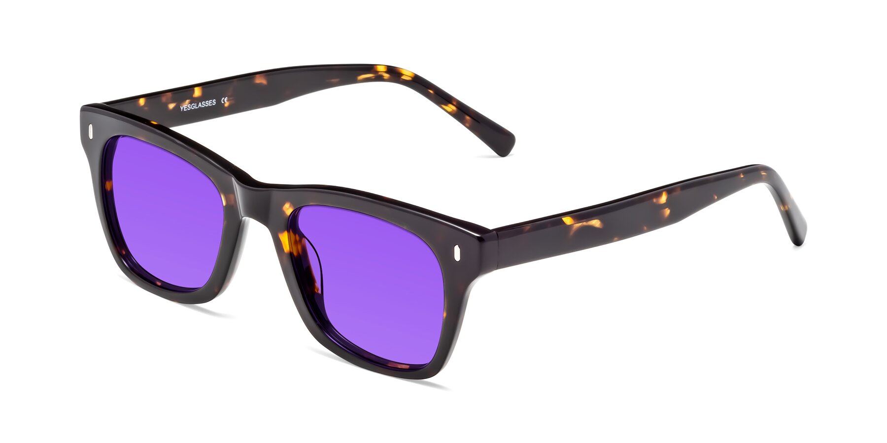 Angle of Ben in Tortoise Brown with Purple Tinted Lenses