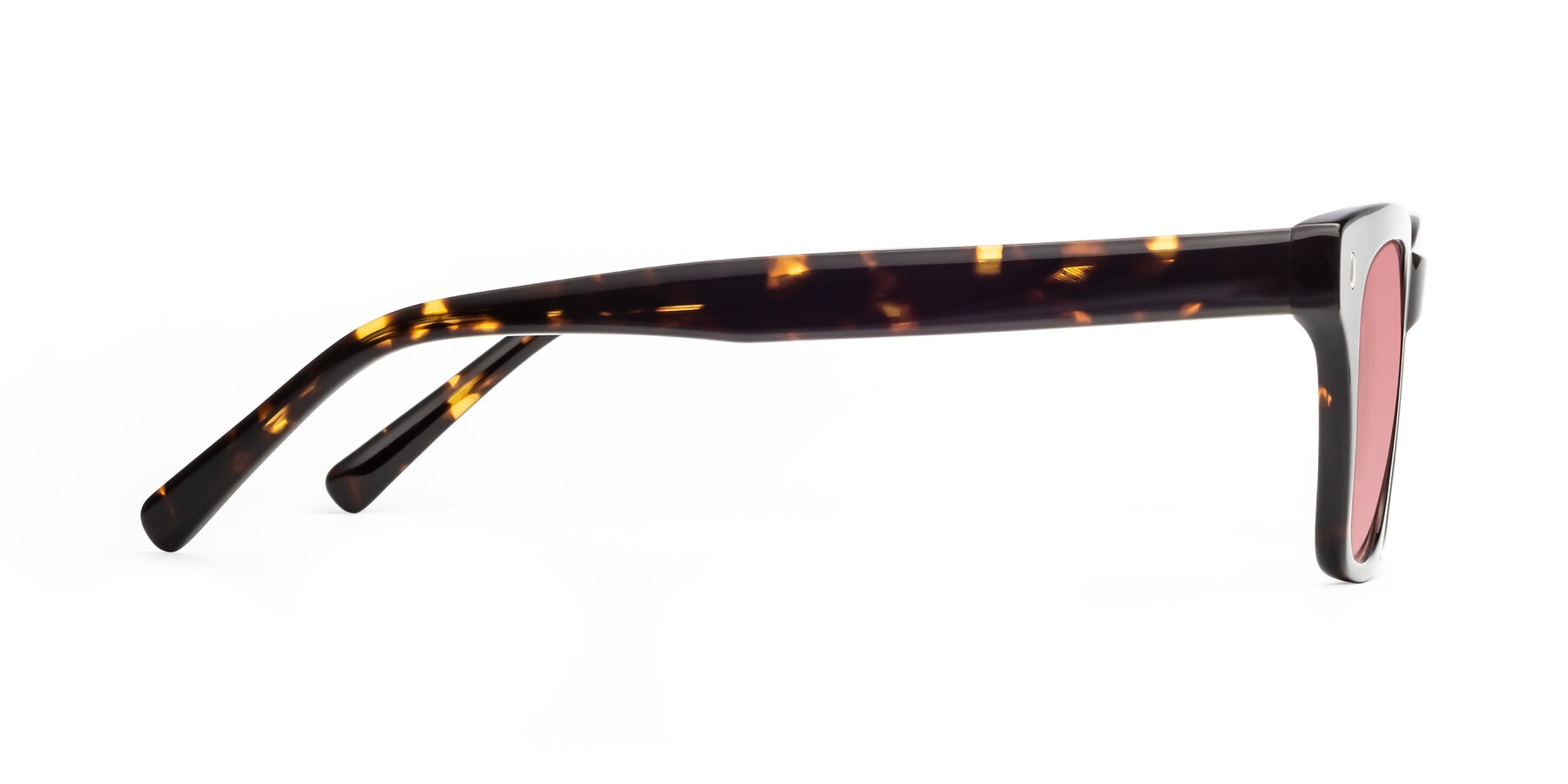 Side of Ben in Tortoise Brown with Medium Garnet Tinted Lenses