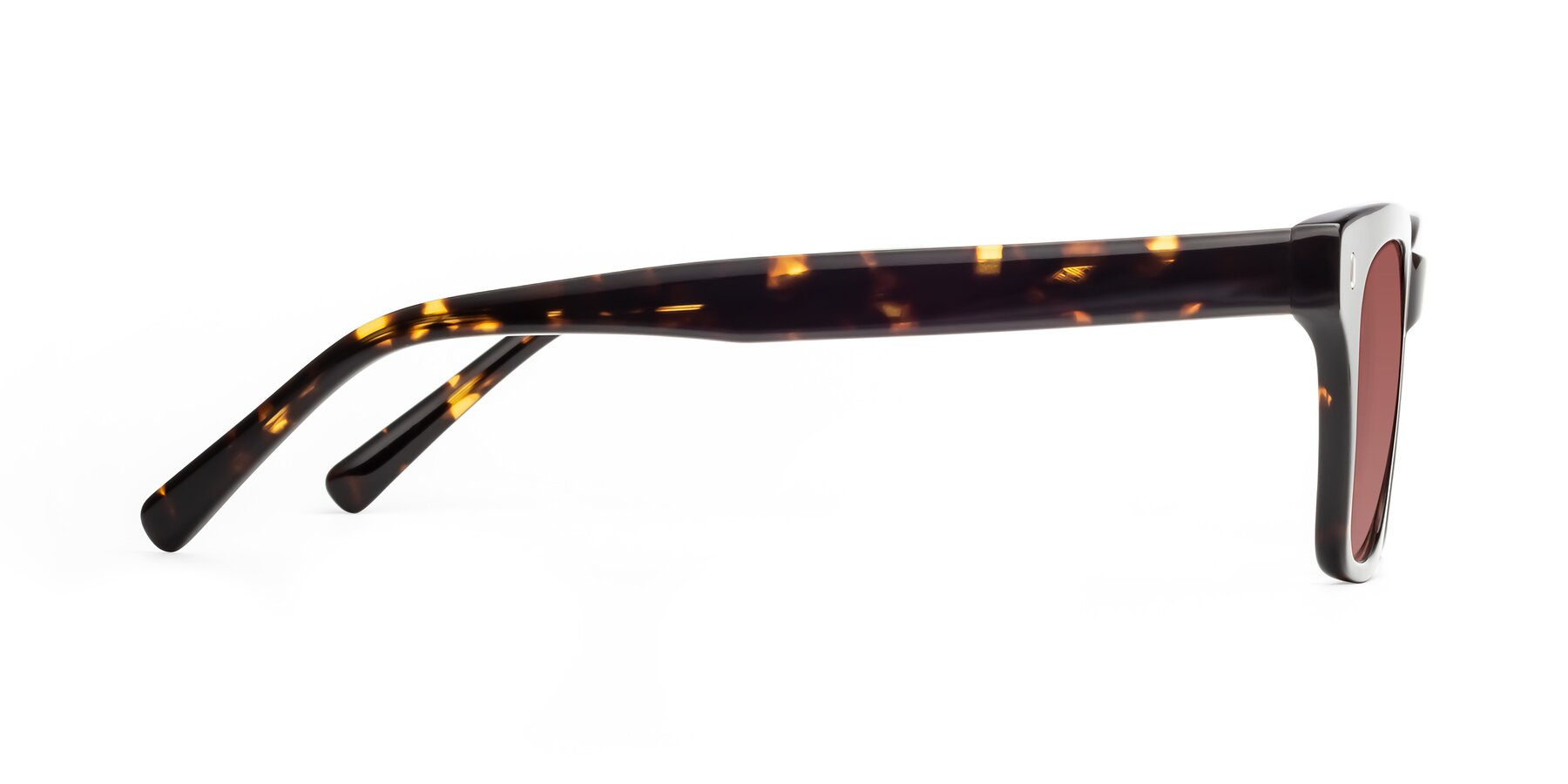 Side of Ben in Tortoise Brown with Garnet Tinted Lenses