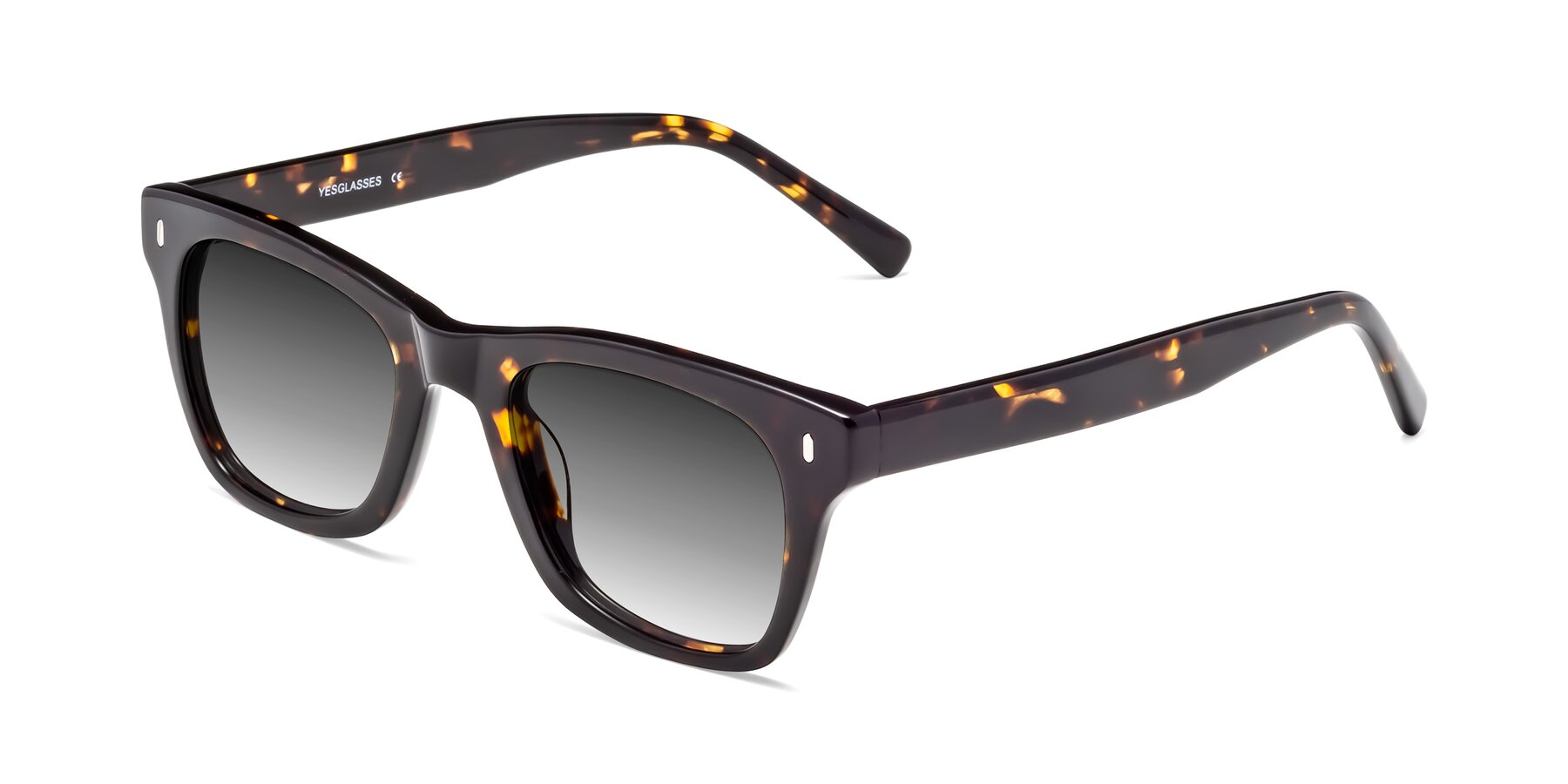Angle of Ben in Tortoise Brown with Gray Gradient Lenses
