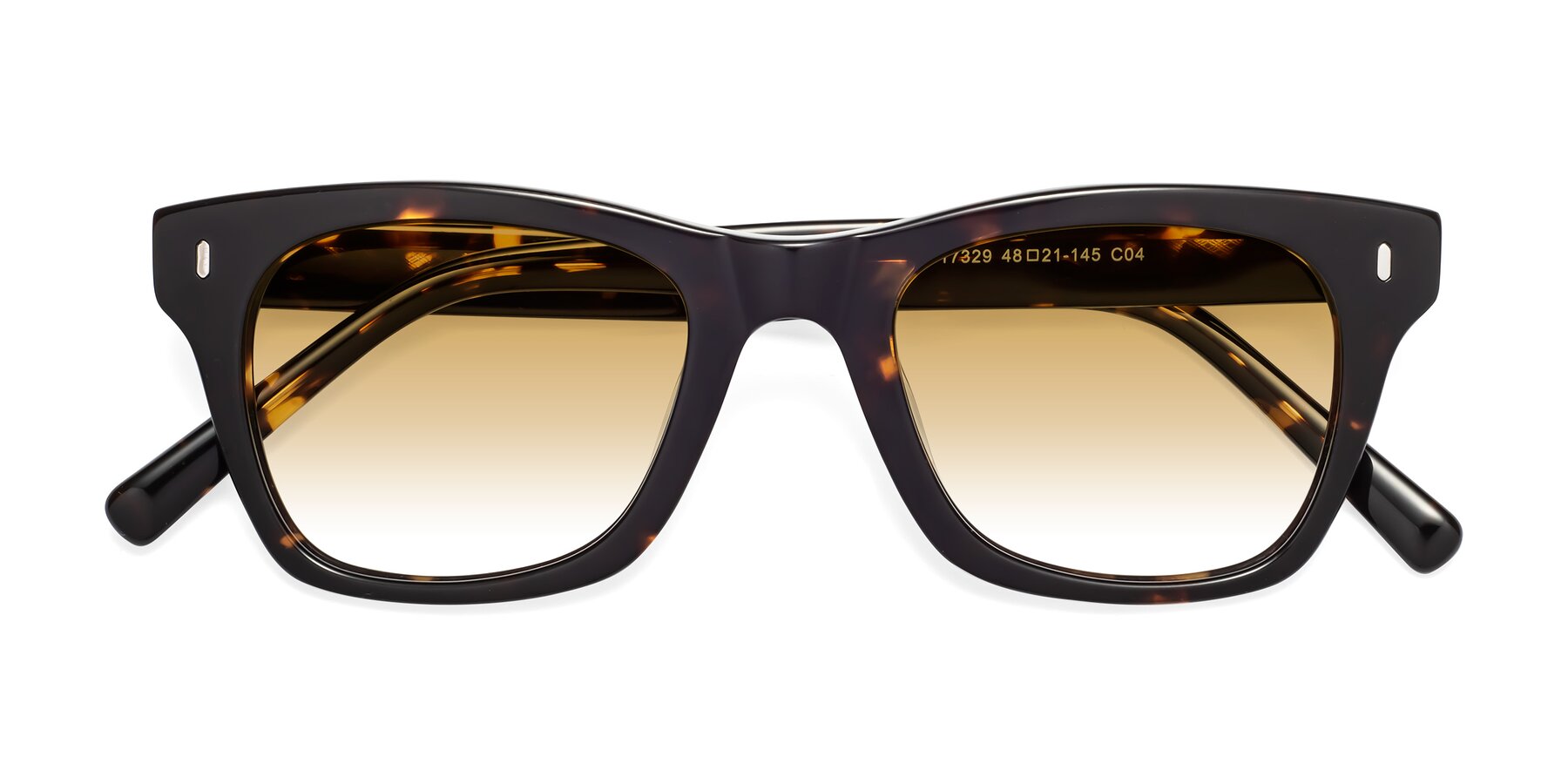 Folded Front of Ben in Tortoise Brown with Champagne Gradient Lenses