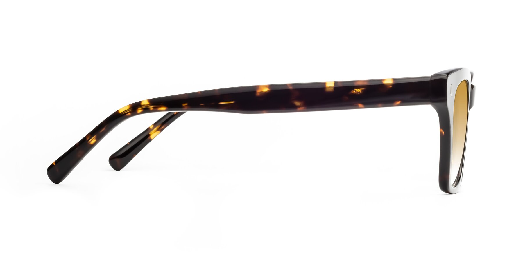 Side of Ben in Tortoise Brown with Champagne Gradient Lenses