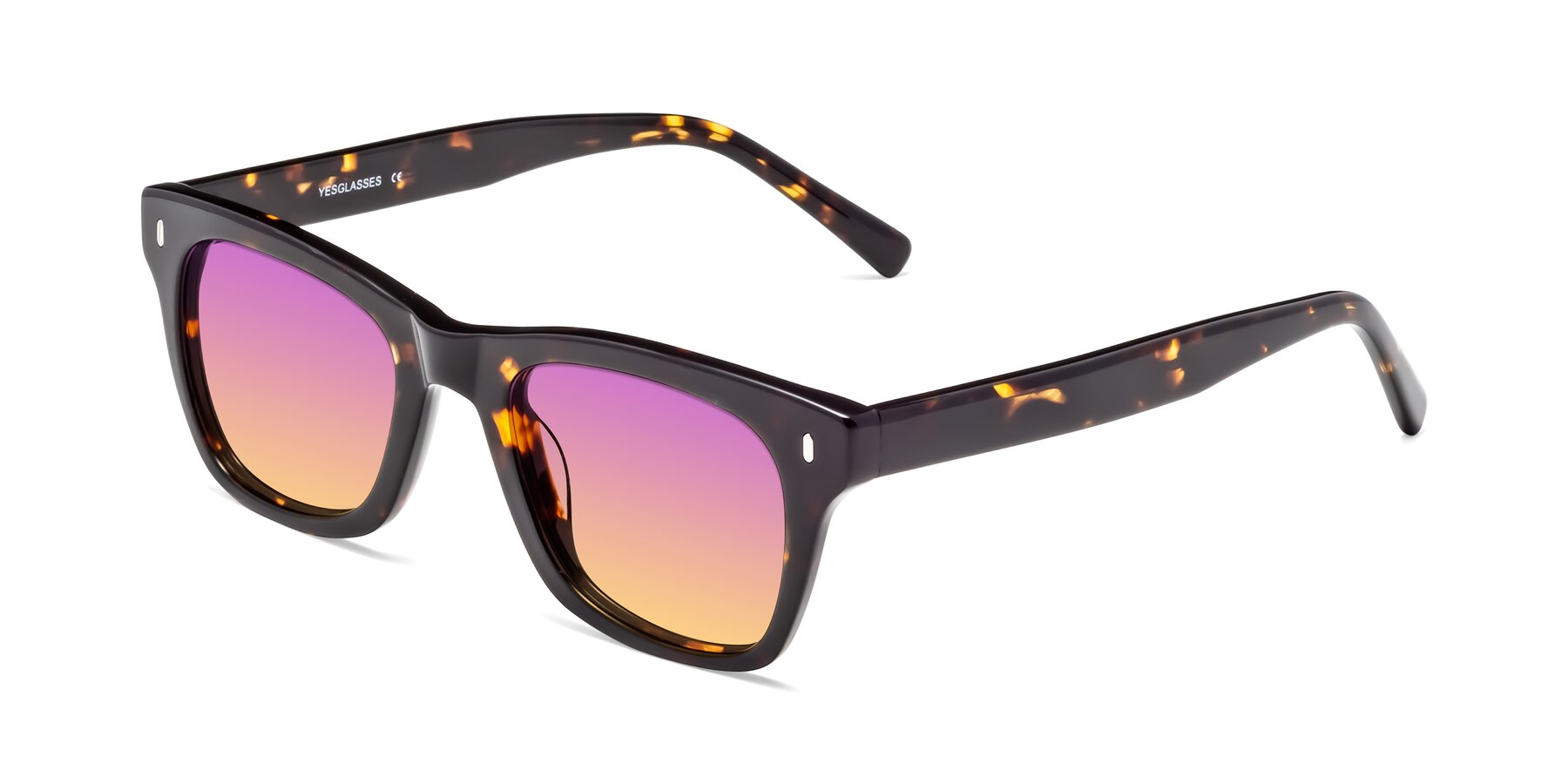 Angle of Ben in Tortoise Brown with Purple / Yellow Gradient Lenses