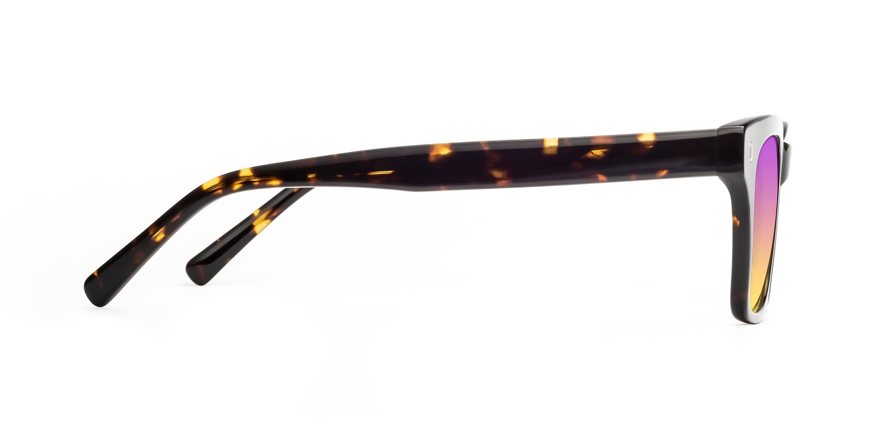 Side of 17329 in Tortoise Brown with Purple / Yellow Gradient Lenses
