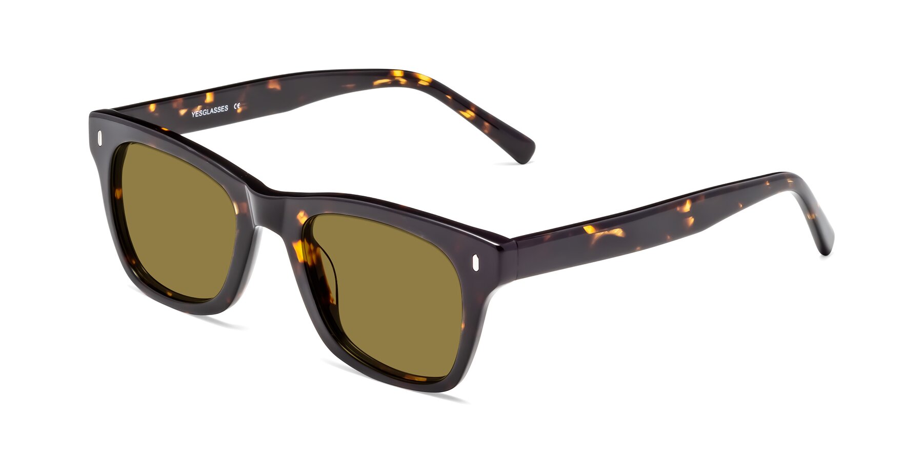 Angle of 17329 in Tortoise Brown with Brown Polarized Lenses