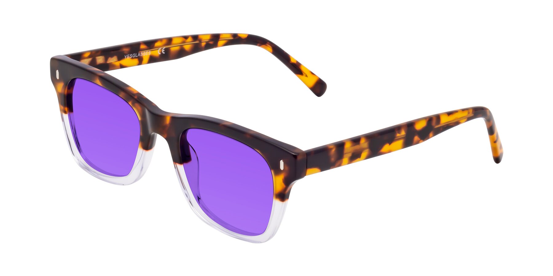 Angle of Ben in Tortoise-Clear with Purple Tinted Lenses